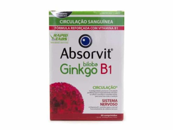 Absorvit Ginkgo + B1 x60